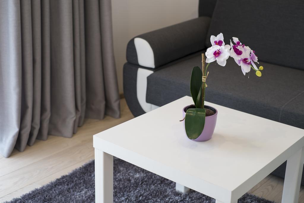Apartamenty Comfort & Spa Stara Polana Vipapartamenty Закопане Екстериор снимка
